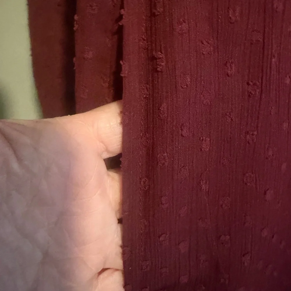 Abercrombie & Fitch Maroon Swiss Dot Sheer sleeve embroidered short dress PS